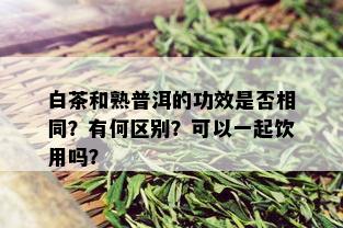 白茶和熟普洱的功效是否相同？有何区别？可以一起饮用吗？