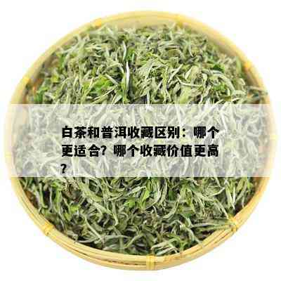 白茶和普洱收藏区别：哪个更适合？哪个收藏价值更高？