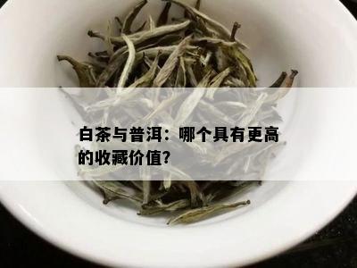 白茶与普洱：哪个具有更高的收藏价值？