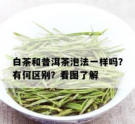 白茶和普洱茶泡法一样吗？有何区别？看图了解