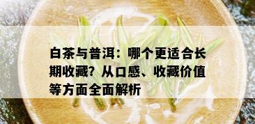 白茶与普洱：哪个更适合长期收藏？从口感、收藏价值等方面全面解析