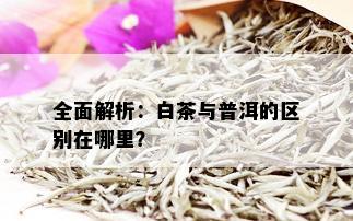 全面解析：白茶与普洱的区别在哪里？