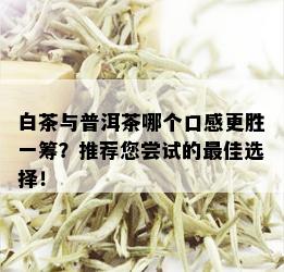 白茶与普洱茶哪个口感更胜一筹？推荐您尝试的更佳选择！