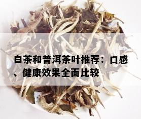 白茶和普洱茶叶推荐：口感、健康效果全面比较