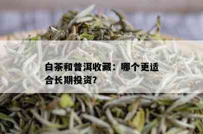 白茶和普洱收藏：哪个更适合长期投资？