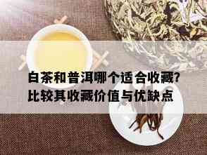 白茶和普洱哪个适合收藏？比较其收藏价值与优缺点