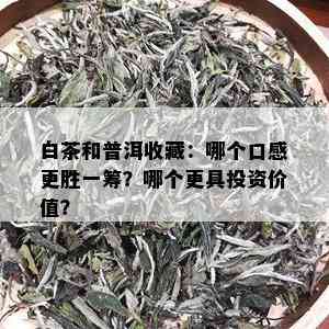 白茶和普洱收藏：哪个口感更胜一筹？哪个更具投资价值？