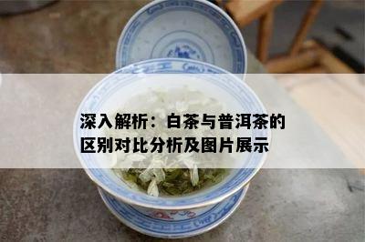 深入解析：白茶与普洱茶的区别对比分析及图片展示