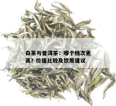 白茶与普洱茶：哪个档次更高？价值比较及饮用建议