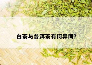 白茶与普洱茶有何异同？