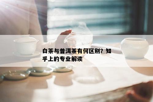 白茶与普洱茶有何区别？知乎上的专业解读