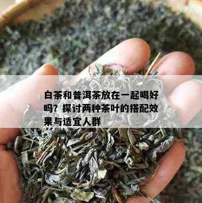 白茶和普洱茶放在一起喝好吗？探讨两种茶叶的搭配效果与适宜人群