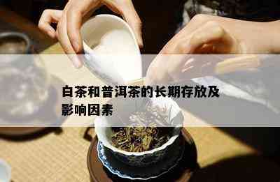 白茶和普洱茶的长期存放及影响因素