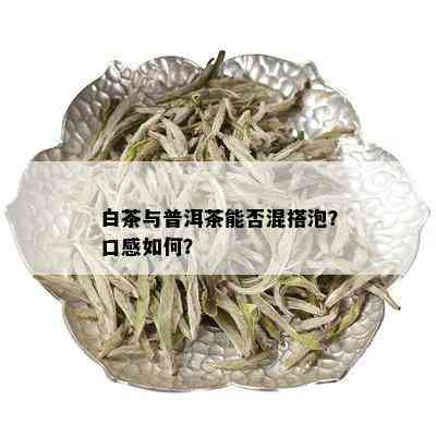 白茶与普洱茶能否混搭泡？口感如何？