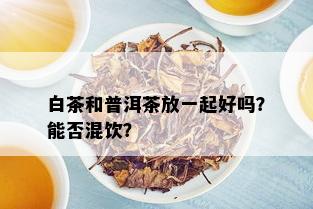 白茶和普洱茶放一起好吗？能否混饮？