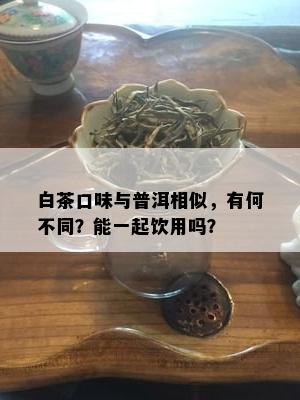 白茶口味与普洱相似，有何不同？能一起饮用吗？