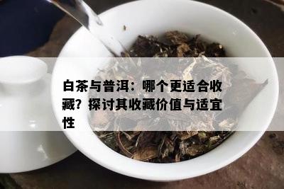 白茶与普洱：哪个更适合收藏？探讨其收藏价值与适宜性