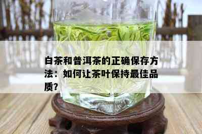 白茶和普洱茶的正确保存方法：如何让茶叶保持更佳品质？