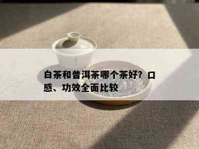 白茶和普洱茶哪个茶好？口感、功效全面比较