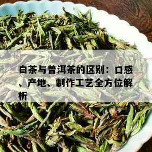 白茶与普洱茶的区别：口感、产地、制作工艺全方位解析