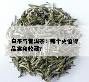 白茶与普洱茶：哪个更值得品尝和收藏？