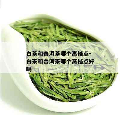 白茶和普洱茶哪个高档点-白茶和普洱茶哪个高档点好喝