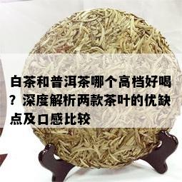 白茶和普洱茶哪个高档好喝？深度解析两款茶叶的优缺点及口感比较