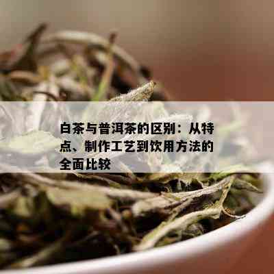 白茶与普洱茶的区别：从特点、制作工艺到饮用方法的全面比较