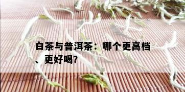 白茶与普洱茶：哪个更高档、更好喝？