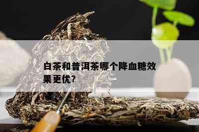 白茶和普洱茶哪个降血糖效果更优？