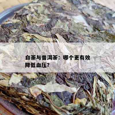 白茶与普洱茶：哪个更有效降低血压？