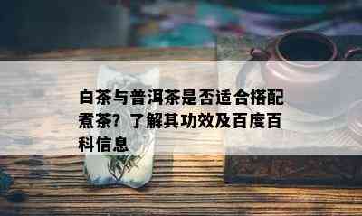 白茶与普洱茶是否适合搭配煮茶？了解其功效及百度百科信息