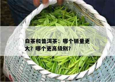 白茶和普洱茶：哪个销量更大？哪个更高级别？