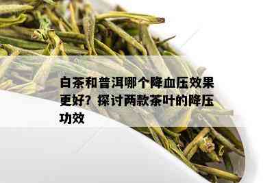 白茶和普洱哪个降血压效果更好？探讨两款茶叶的降压功效