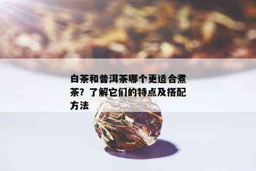 白茶和普洱茶哪个更适合煮茶？了解它们的特点及搭配方法