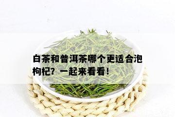 白茶和普洱茶哪个更适合泡枸杞？一起来看看！