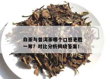 白茶与普洱茶哪个口感更胜一筹？对比分析揭晓答案！