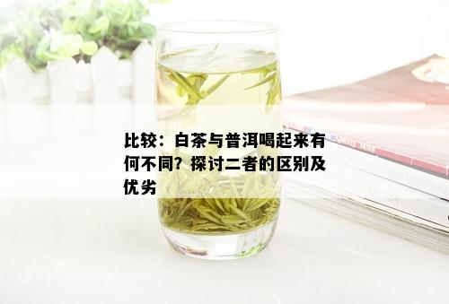 比较：白茶与普洱喝起来有何不同？探讨二者的区别及优劣