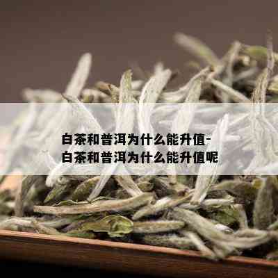 白茶和普洱为什么能升值-白茶和普洱为什么能升值呢