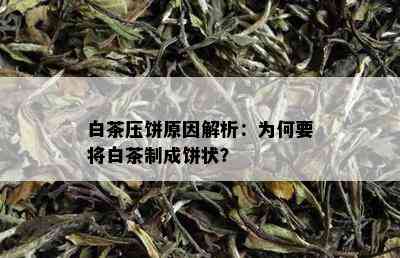 白茶压饼原因解析：为何要将白茶制成饼状？