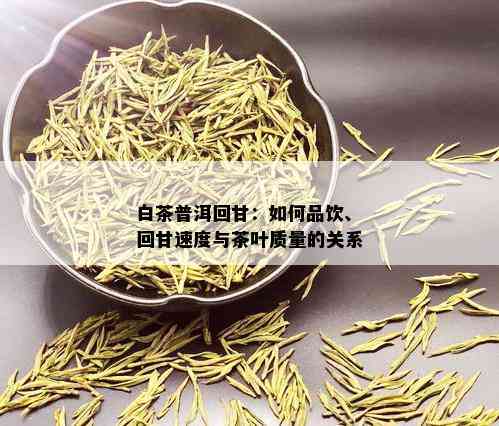 白茶普洱回甘：如何品饮、回甘速度与茶叶质量的关系