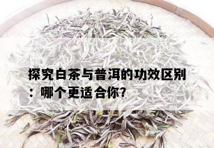 探究白茶与普洱的功效区别：哪个更适合你？