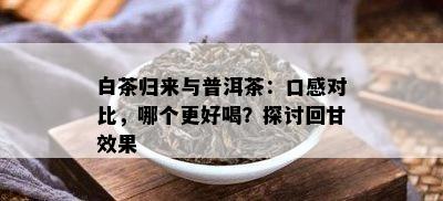 白茶归来与普洱茶：口感对比，哪个更好喝？探讨回甘效果