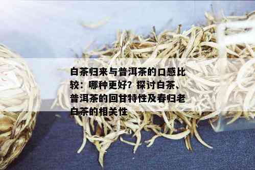 白茶归来与普洱茶的口感比较：哪种更好？探讨白茶、普洱茶的回甘特性及春归老白茶的相关性