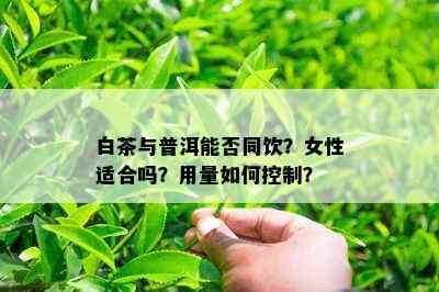 白茶与普洱能否同饮？女性适合吗？用量如何控制？