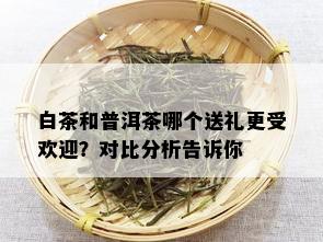 白茶和普洱茶哪个送礼更受欢迎？对比分析告诉你