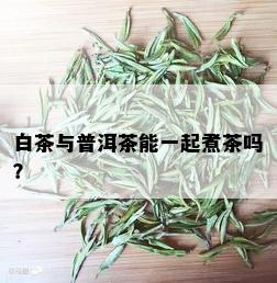 白茶与普洱茶能一起煮茶吗？