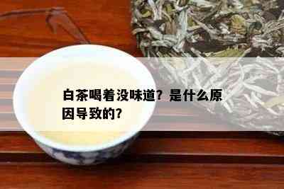 白茶喝着没味道？是什么原因导致的？