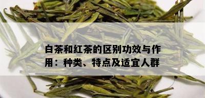 白茶和红茶的区别功效与作用：种类、特点及适宜人群