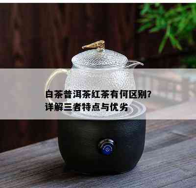 白茶普洱茶红茶有何区别？详解三者特点与优劣